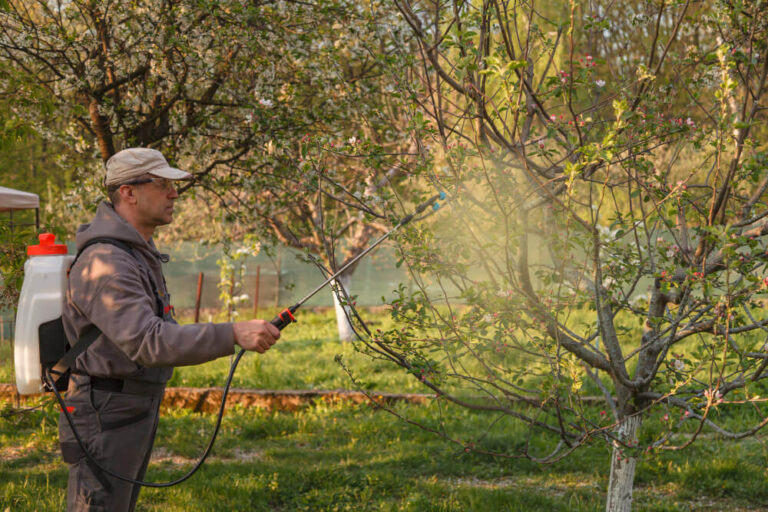 Jak efektywnie pryskać drzewa owocowe na wiosnę: kompletny przewodnik