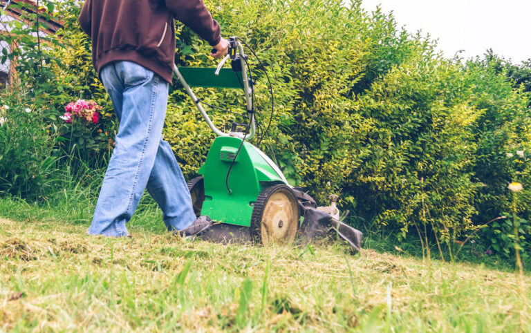 Jak efektywnie kosić trawę – przewodnik dla posiadaczy ogrodów